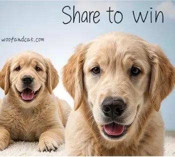 🎉 Join the Woofandcat Community Giveaway — Share & Win Big!