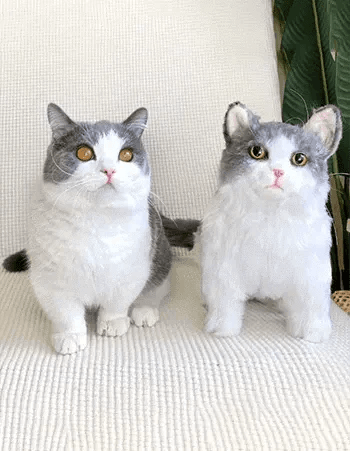 Decoding Feline Escape Signals: 5 Warning Signs Your Cat May Leave Home (And Science-Backed Prevention Tactics)
