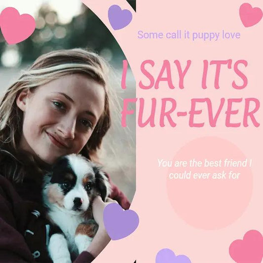 5 Thoughtful Personalized Dog Memorial Gifts That Truly Comfort the Heart