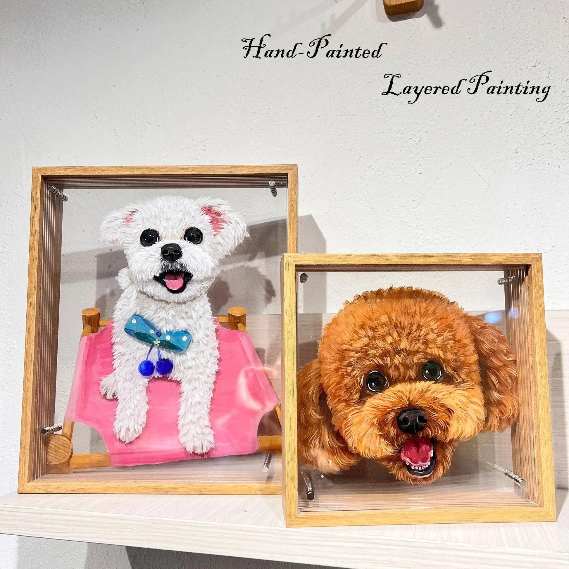 A brown Pomeranian and a white Pomeranian.