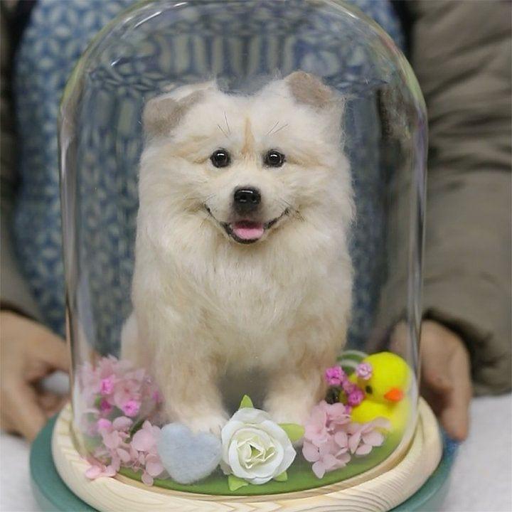 Wool felt dog in glass