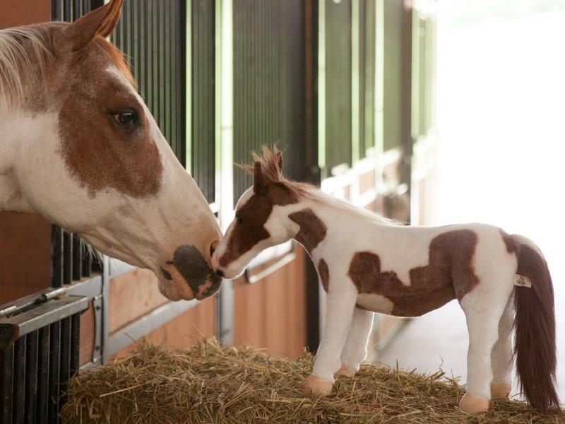 A horse kissing his plush clone.